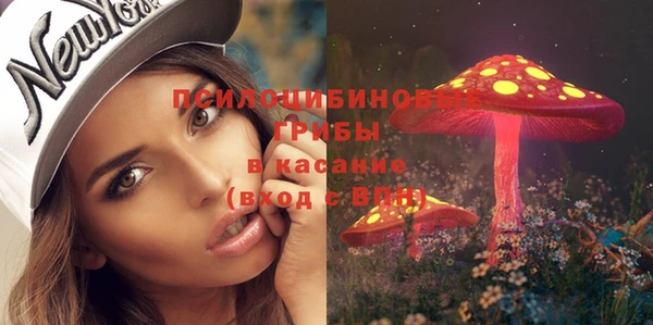 ALPHA PVP Касимов