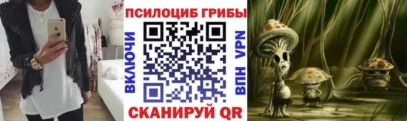 мега ссылка  Павловская  Галлюциногенные грибы ЛСД 