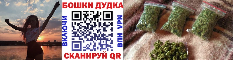Бошки марихуана гибрид  Павловская 